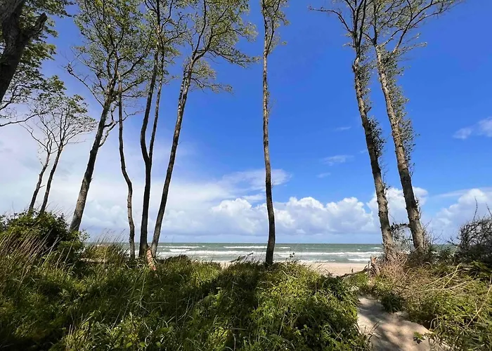 Chico Апартаменты Граль-Мюриц